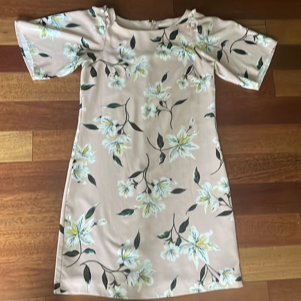 Ann Taylor Factory Pink Long Sleeve Dress
